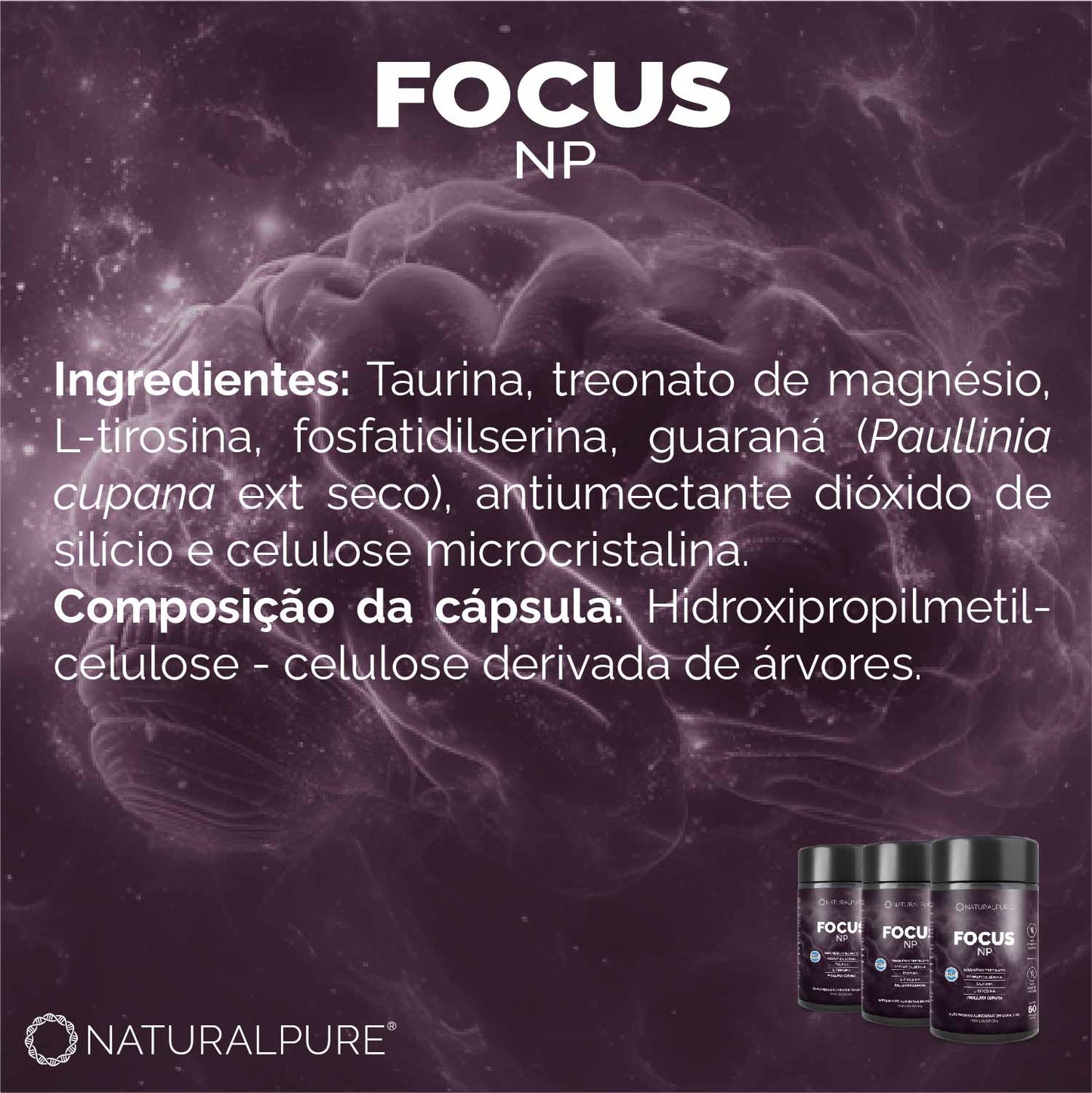 FOCUS NP