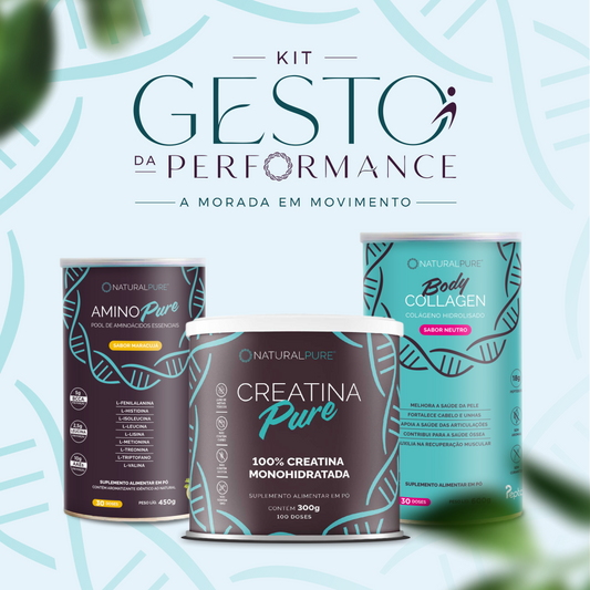 Gesto da Performance